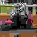 384410111_10227211030816104_7842800109569603787_n
