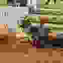 384697278_10227211030616099_5889697895004846613_n