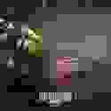 391717401_10227336017660697_2176662194805614432_n